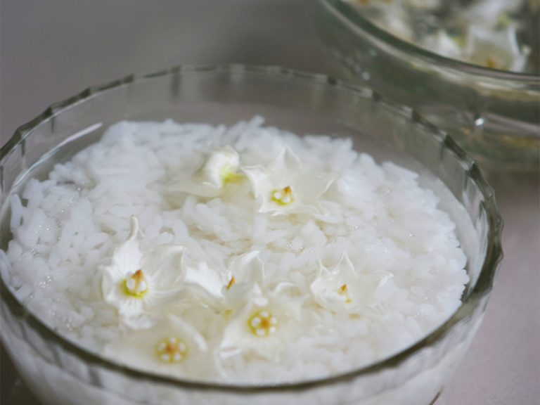 In einer Schüssel schwimmt Reis in Wasser, darauf treiben ein paar Blüten